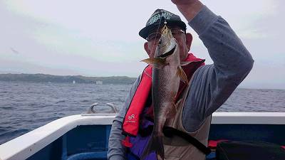 しまや丸 釣果