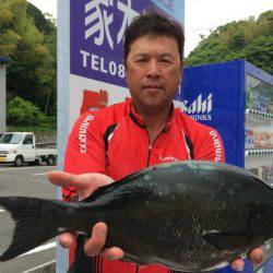 鵜来島家本渡船 釣果