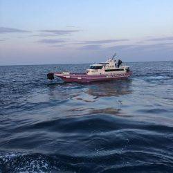 鵜来島家本渡船 釣果