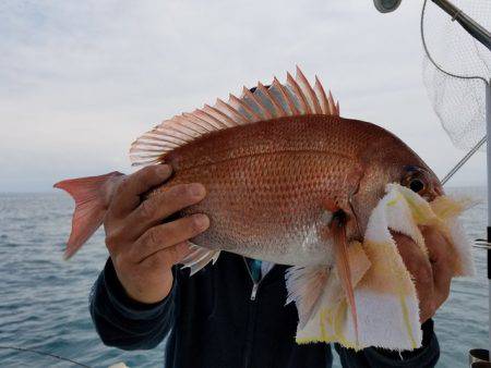 遊漁船　ニライカナイ 釣果