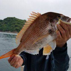 遊漁船　ニライカナイ 釣果