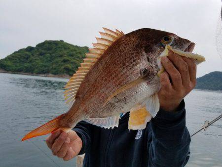 遊漁船　ニライカナイ 釣果