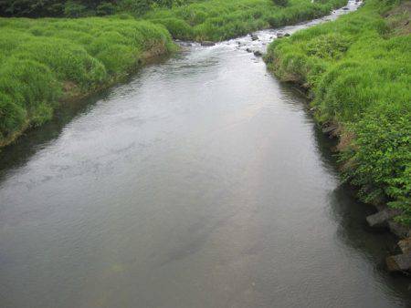 狩野川（狩野川漁業協同組合） 釣果