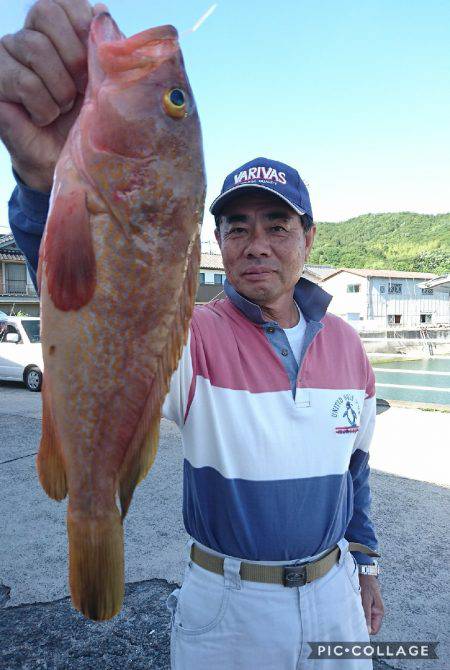 桑田観光 釣果