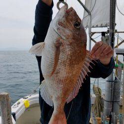 遊漁船　ニライカナイ 釣果