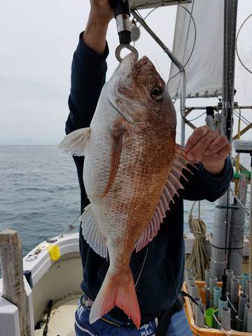 遊漁船　ニライカナイ 釣果