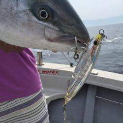 シーモンキー 釣果