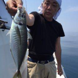 シーモンキー 釣果