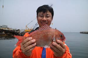 魚英 釣果