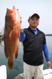 魚英 釣果