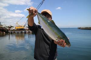 魚英 釣果