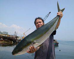 魚英 釣果