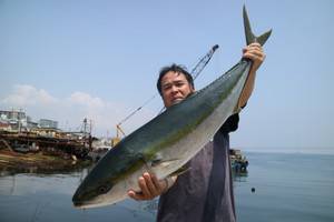 魚英 釣果