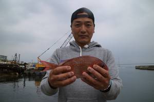 魚英 釣果