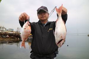 魚英 釣果