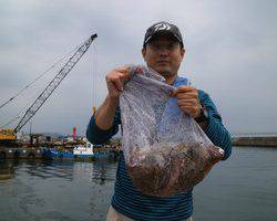 魚英 釣果