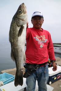 魚英 釣果