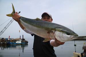 魚英 釣果