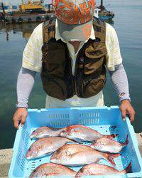 魚英 釣果