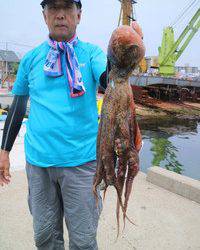 魚英 釣果