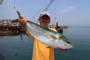 魚英 釣果