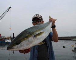 魚英 釣果