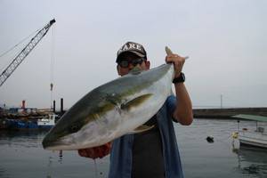 魚英 釣果