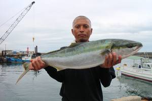 魚英 釣果