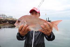 魚英 釣果