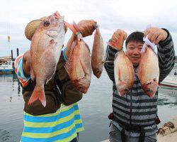 魚英 釣果