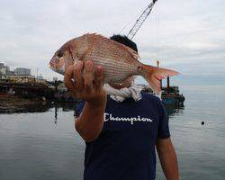 魚英 釣果