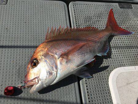 珀宝丸 釣果