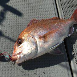 珀宝丸 釣果