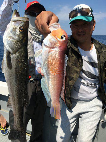 珀宝丸 釣果