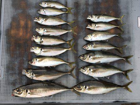 珀宝丸 釣果