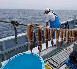 かねい丸 釣果