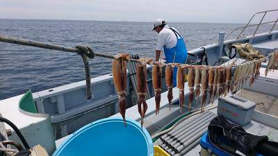 かねい丸 釣果