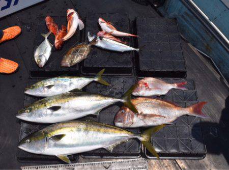 渡船屋たにぐち 釣果