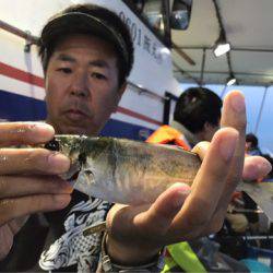 ヤザワ渡船 釣果