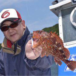 渡船屋たにぐち 釣果