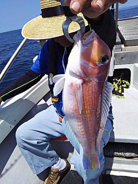 光生丸 釣果