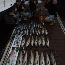 うさぎ丸 釣果