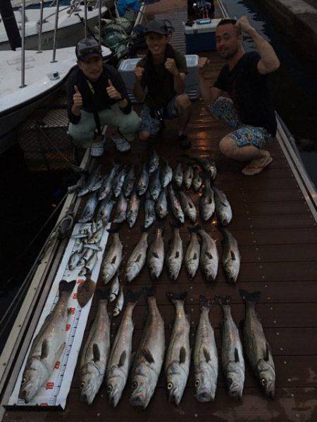 うさぎ丸 釣果