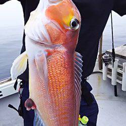 光生丸 釣果