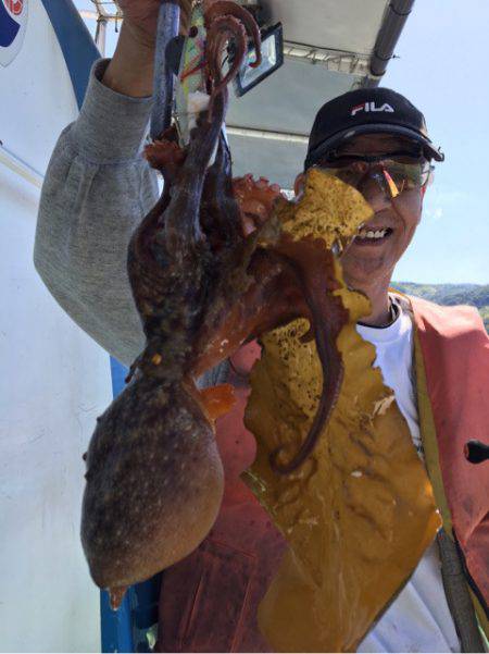 ヤザワ渡船 釣果