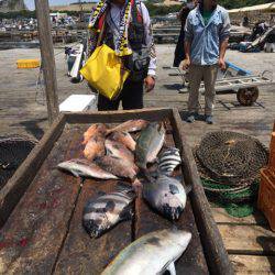 釣り堀水宝 釣果