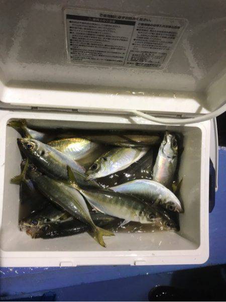 ヤザワ渡船 釣果