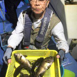 ヤザワ渡船 釣果