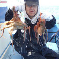 ヤザワ渡船 釣果