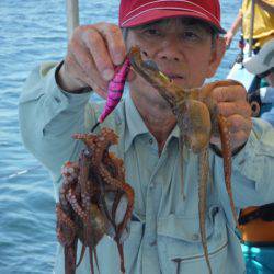 ヤザワ渡船 釣果